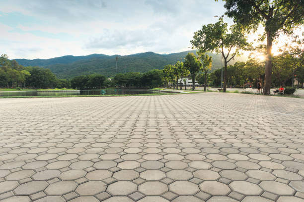 Best Concrete Paver Driveway  in Cooper, TX